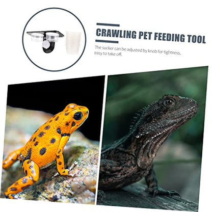 Reptile Feeder with Suction Cup Double Cup Food and Water Bowl for Lizards Geckos Bearded Dragons Easy to Clean and Install Feeding Tool for Crawling Pets