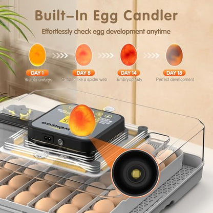 Egg Incubator Incubators for Hatching Eggs 48 Eggs for Lab Home Farm with Automatic Egg Turning for Chicken, Ducks, Goose, Quail - size: 48 Eggs