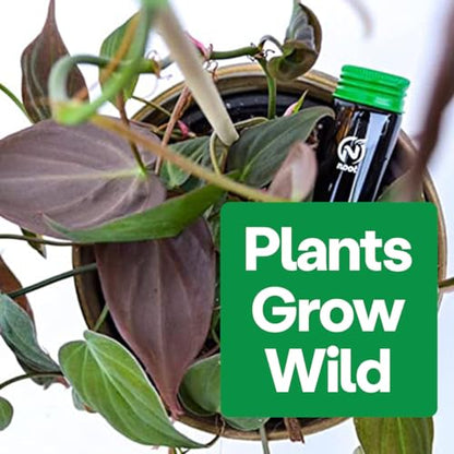 Noot Bio-Organic Plant Food Liquid Fertilizer - Makes 7 Gallons - Root Boosting Mycorrhizae - Fast Growth for Monstera, Aroid, Succulent, Orchid, Calathea, Philodendron - Use Every Watering (2 Vials) - size: Noot Plant Food (Makes 7 Gallons)