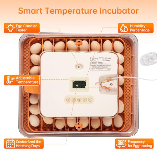 56 Egg Incubator for Hatching Eggs–Smart Auto Turner & Humidity Control, 360° View, Built-in Candler |Hatching Kit with Chick Helmet for Chicken, Duck, Quail | Ideal for Home & Classroom