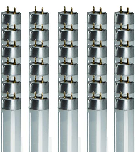 GoodBulb 32-Watt 48-Inch T8 Fluorescent Light Bulb 5700K Daylight White Color Medium Bi-Pin Base 3100 Lumens 88 CRI 24000 Life Hours Instant/Programmed Start Pack of 30 - color: 5700k