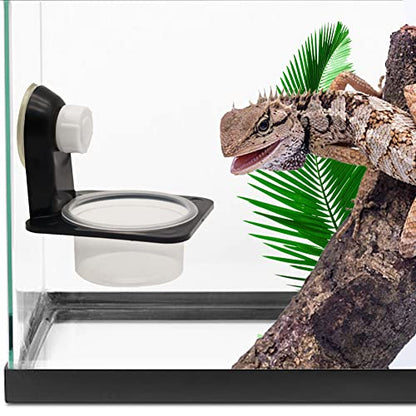 Double Crested Gecko Feeding Ledge with 10 Pcs 0.5oz Bowls, Detachable Suction Cup Reptile Feeding Dish Feeder for Lizard, Tortoise, Spider Gecko - style: Single