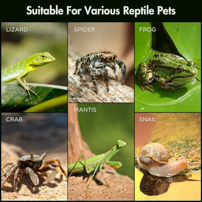 Acrylic Reptile Terrarium, Pre-Assembled Tarantula Enclosure with All-Side Ventilation & Magnetic Door, Tank for Spider, Gecko, Mantis, Frog, Snail, Isopods, 12"x7"x7" (Tweezer & Hygrometer Included) - size: Large Horizontal (12"×7"×7")