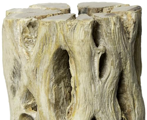 Galápagos (05271) Cholla Wood - Natural Aquarium & Terrarium Decoration for Fish Tanks, Reptile Tanks, and Bird Perches, 12”, Natural