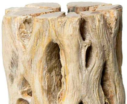 Galápagos (05271) Cholla Wood - Natural Aquarium & Terrarium Decoration for Fish Tanks, Reptile Tanks, and Bird Perches, 12”, Natural