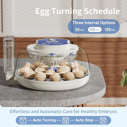 18 Egg Incubators for Hatching Eggs, Incubation Day Display, 2 Egg Trays, Automatic Egg Turning, Built-in Egg Candler, Auto Refill, Adjustable Air Vent, for Chicken, Quail, Duck, Turkey & Goose Eggs - size: 18 Eggs