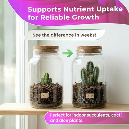 Professional Terrarium Soil Mix 2.2 Quarts Ready to Use, Premium Terrarium Potting Soil for Succulents Cactus Aloe Plants, Pine Bark Peat Coarse Sand, Well Draining Terrarium Mix Made in USA - color: Terrarium Soil, size: 2.2 Quarts
