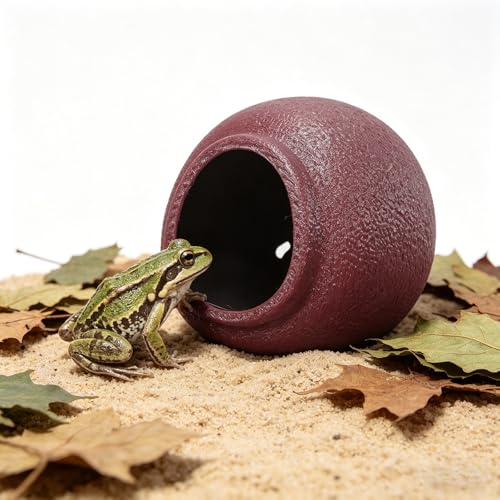 TIDTALEO Egg Shaped Frog Aquarium Habitat with Suction Cup Stability and Ventilated Design Plastic Small Frog Terrarium for Amphibian Pets Decorations and Biological Observation