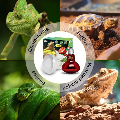 100W Daylight Basking Light Bulb & Infrared Heat Lamp Bulb for Amphibians Reptiles Bearded Dragon, Turtle, Lizard, Snakes, Geckos, ... - color: Infrared+uva Bulbs (2pcs), size: 100W