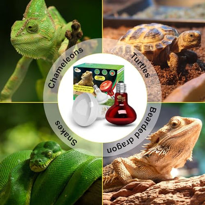 100W Daylight Basking Light Bulb & Infrared Heat Lamp Bulb for Amphibians Reptiles Bearded Dragon, Turtle, Lizard, Snakes, Geckos, ... - color: Infrared+uva Bulbs (2pcs), size: 100W