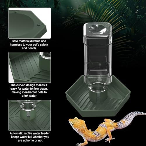 Reptile Water Dispenser-Bearded Dragon Water Bowl - Small Water Dish for Tortoise - Bowls for Reptiles & Amphibians (S) - size: S