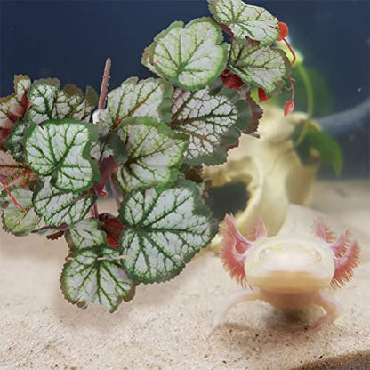 Ipetboom Suction Cups for Hanging Plants Reptile Plants Terrarium Plants Leaf for Reptile Terrarium Plants Indoor Reptile Tank Decor Plant for Reptile Terrarium Hanging Reptile Habitat
