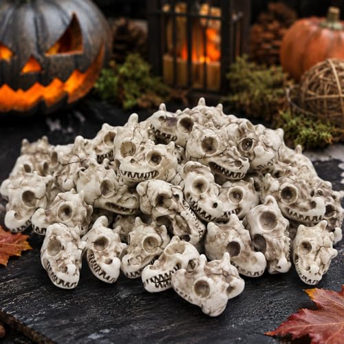 20PCS Miniature Dragon Skull Ornaments for Aquarium Decorations, Tiny Dinosaur Bones for Succulent Plant Pots, Gothic Fairy Garden Terrarium Kit