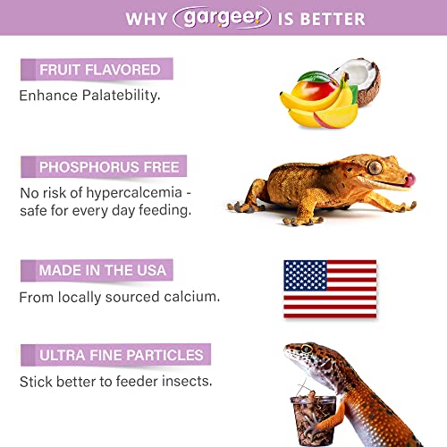 Gargeer 4oz Gecko Calcium with Vitamin D3, Phosphorus-Free, Ultrafine Powder. Ready to Use Supplement for Geckos and Fruit-Eating Reptiles. Pure Dust with Real Organic Fruits. Made in the USA