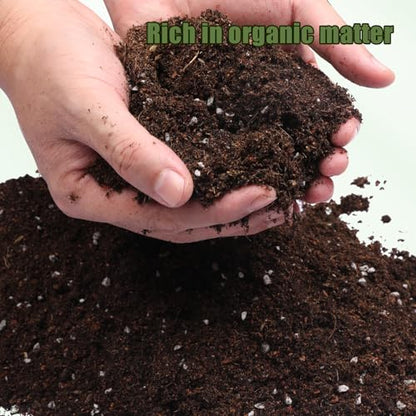 Doter Potting Soil Mix for Hoya 2qt, Custom Hand Blended Mixture Suitable for Indoor/Outdoor Potted Fern Plant - size: 2qt