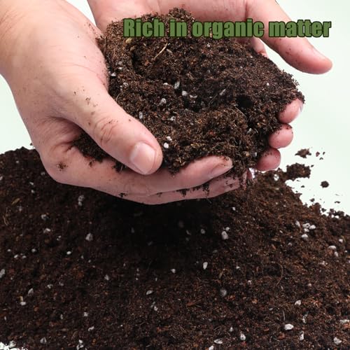 Doter Potting Soil Mix for Hoya 1qt, Custom Hand Blended Mixture Suitable for Indoor/Outdoor Potted Fern Plant - size: 1qt