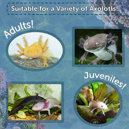 Axolotl Food, 1/8" Soft Moist Sinking Pellets, Rangen's Salmon Meal Pellets for Small Axolotl. Also Shrimp, Snails, Crabs, Bottom Fish, All Tropical Fish...11oz Small Jar