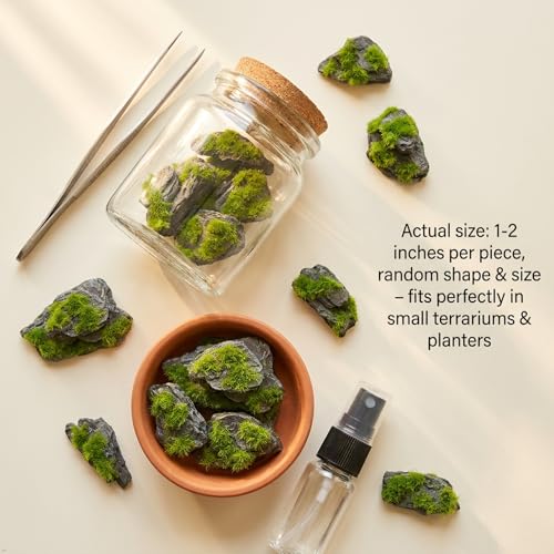 Miniature Moss Stones for Terrarium - Tree Bark Diorama Rocks for Miniature Terrain Display - Lightweight Reptile Habitat Decor - NOT for Aquarium Underwater Use - 12 Pcs Flocking-Covered (1-2 inch) - style: 12P Flocking Slate Rocks (Wooden)