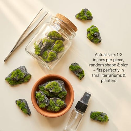 Miniature Moss Stones for Terrarium - Tree Bark Diorama Rocks for Miniature Terrain Display - Lightweight Reptile Habitat Decor - NOT for Aquarium Underwater Use - 24 Pcs Flocking-Covered (1-2 inch) - style: 24P Flocking Slate Rocks (Wooden)