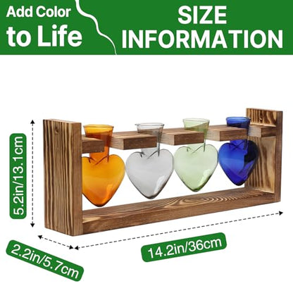 Plant Propagation Stations Heart Plant Terrarium Kit Gift for Women Plant Lover Glass Vases - color: Color01