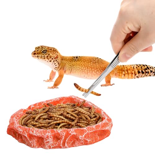 Frcctre 4 Pack Reptile Food Dish with Feeding Tongs, Resin Reptile Water Dish Food Bowl Feeding Terrarium Bowl for Leopard Gecko Lizard Tortoise Hermit Crab Bearded Dragon Chameleon, Orange