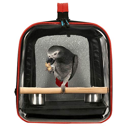 Colorday Lightweight Bird Carrier Travel Cage, Large 19x12x13 inch | For Travelers, Parrot Feeder Cups Included, Standing Perch Included, With Tray, Black