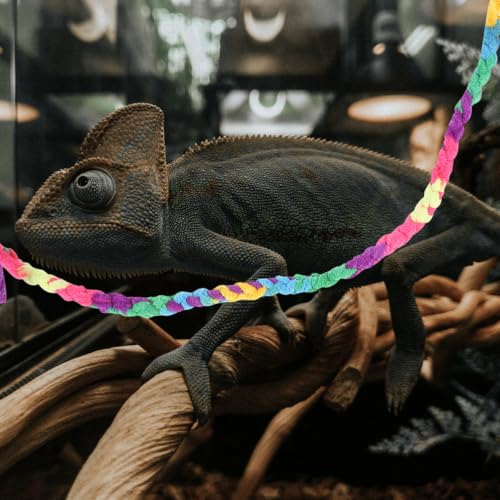 2pcs Hermit Crab Climbing Rope for Reptile Tank and Terrarium, Cotton Rope Material, Safe and Sturdy Climbing Vine Accessory for Lizards and Frogs