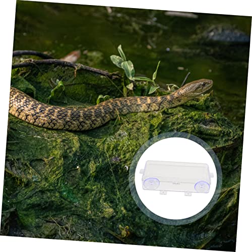 HEMOTON 1Pc Suction Cup Reptile Feeder Transparent Gecko Feeding Bowl for Water and Food Easy to Dish for Lizard and Tortoise Daily Use Water Dish