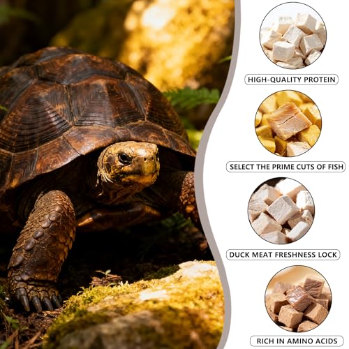 Freeze-Dried Chicken, Duck, Beef & Salmon for Turtles Treats| 3 oz Canister of Premium Protein Turtle Food | Natural Diet for Aquatic Turtles, Red Eared Sliders & Tortoises (3 oz)