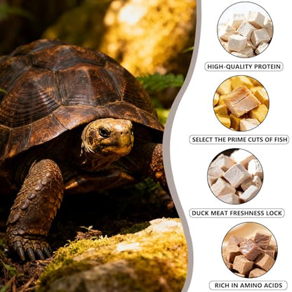 Freeze-Dried Chicken, Duck, Beef & Salmon for Turtles Treats| 3 oz Canister of Premium Protein Turtle Food | Natural Diet for Aquatic Turtles, Red Eared Sliders & Tortoises (3 oz)