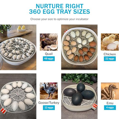 Egg Trays for 11 Large (Goose/Turkey) Eggs - Durable Egg Tray for Nurture Right 360 Egg Incubator - Hand Washable Eggs Keeper for Chicken Goose Turkey Emu (Various Sizes)