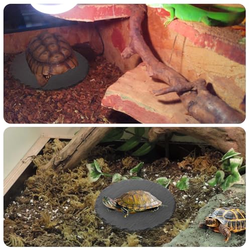 Reptile Basking Platform 5.9x5.9 inch Natural Rock Food Bowl Dish Tortoise Habitat Accessories Habitat Decor for Lizard Crested Gecko Bearded Dragon Turtle Reptiles Tank