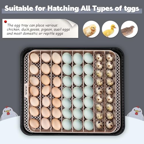 Sailnovo 56 Egg Incubator for Hatching Eggs with Automatic Egg Turning and Auto Humidification, Temperature Control, Egg Candler, Incubator for Chicken Eggs, Grey 18.7'' x 16.14'' x 6.3''