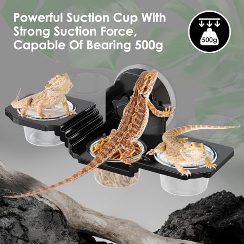 Crested Gecko Feeding Ledge with 6 PVC Cups -Strong Suction Reptile Food Dish for Leopard Geckos, Spiders,Lizard,Snail & Small Birds - Space-Saving Terrarium Habitat Feeder Easy to Clean