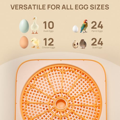 TURBRO Incubator for Hatching Eggs, Automatic Turning, Temperature & Humidity Control, Built-in Candler, 60° Viewing, 12 Egg Incubators for Chicken, Duck, Quail, Turkey, Goose, Parrot, Bird