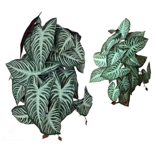 Reptile Plants for Terrarium, Artificial Hanging Plastic Plants with Suction Cups，Amphibian Tank Habitat Decor fit for Bearded Dragons Chameleon Lizards Snake 2Pack (bb) - color: Bb