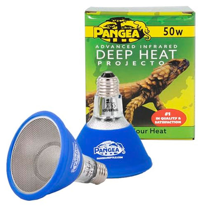 Pangea 50W Deep Heat Projector 2-Pack for Reptiles with Carbon Fiber Filament, Core Warming Infrared A and B Bulb for Basking Lizards, Designed for Ceramic Sockets (50 Watt)