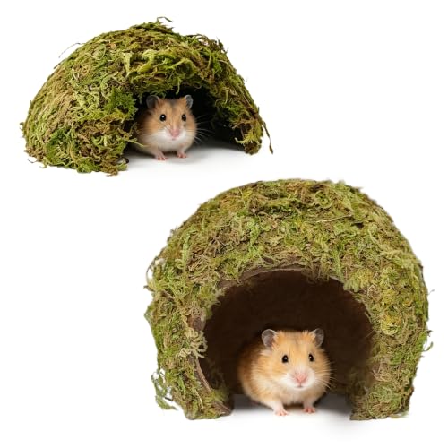 kathson 2Pcs Hamster Hideout, Hamster House, Natural Mossy Coconut Hut, Pet Hiding House, Small Animal Cage Accessories for Mouse Mice Rat Guinea Pigs Reptiles