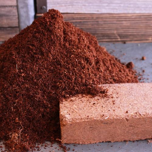 Minute Soil Eco-Friendly Coco Brick 24 Pack – OMRI Medium Expands to 36 Gal – Ideal for Seedlings, Planters, Greens, Houseplants, Raised Beds, Hydroponics, Outdoor Use - size: Bricks - 24 Pack
