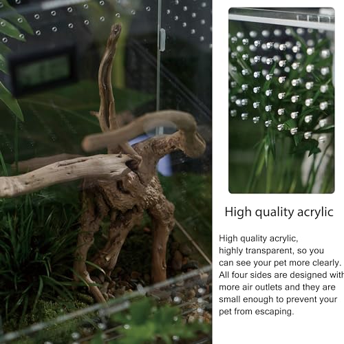 Acrylic Clear Reptile Habitat Enclosure Terrarium with Latch ，Perfect for Amphibians and Invertebrates Such as Spiders, Frogs, etc (Vertical Wood Large)