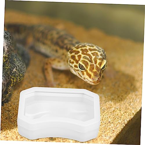 BESPORTBLE 2pcs Reptile Feeder Cup Water Dish Escape Feeding Bowl for Lizard Bearded Dragon Gecko Small Food-Grade Material Strong Suction Cup for Secure Placement