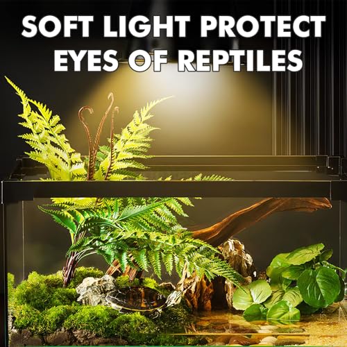 Reptile Heat Lamp, 100W Heat Lamp Bulbs for Reptiles 2 Pack, Amphibians Basking Heat Lamp Bulbs, UVA Daylight Basking Light for Reptiles, Bearded Dragon, Lizard, Turtle, Chicken - style: 100W
