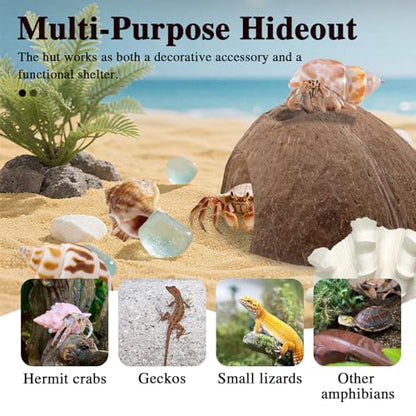 Hermit Crab Shells 1 Coconut Shell Hut 5 PCS Hermit Crab Seashells Accessories Decorations Enrichment Hut for House Hermit Crab Tank Hide Reptile Hideout