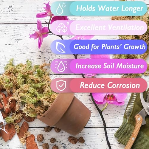 Halatool 3.6OZ Premium Sphagnum Moss for Indoor Plants, 4 QT Orchid Moss Potting Mix - Natural Sphagnum Moss for Succulents, Carnivorous(Sarracenia), Monstera, Terrarium Substrate & Reptile Habitats - size: 4 qt (0.2 lbs)