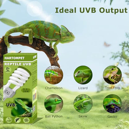 UVB 5.0 Reptile Light 26W – Compact Fluorescent Coil UVB Bulb for Chameleons, Iguanas, Turtles, Tropical & Rainforest Reptile Terrariums, Pet Habitat, UVB Lighting for Healthy Reptiles