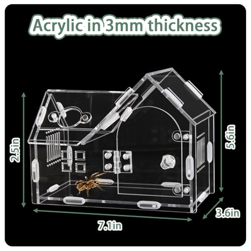 Acrylic Jumping Spider Enclosure with Magnetic Door - Transparent Tarantula Terrarium for Pet Spiders - Secure & Ventilated Reptile Habitat for Hermit Crabs, Geckos, and Small Insects