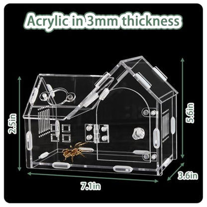 Acrylic Jumping Spider Enclosure with Magnetic Door - Transparent Tarantula Terrarium for Pet Spiders - Secure & Ventilated Reptile Habitat for Hermit Crabs, Geckos, and Small Insects