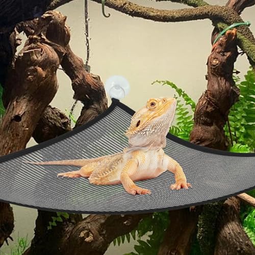 kathson Reptile Bridge for Terrarium,Bearded Dragon Wooden Bridges Gecko Hammock with Hanging Plants Lizard Lounger Bamboo Ladder Reptiles Tank Accessories Climbing for Chameleons Geckos Snakes (3Pcs) - size: Large