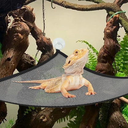 kathson Reptile Bridge for Terrarium,Bearded Dragon Wooden Bridges Gecko Hammock with Hanging Plants Lizard Lounger Bamboo Ladder Reptiles Tank Accessories Climbing for Chameleons Geckos Snakes (3Pcs) - size: Large