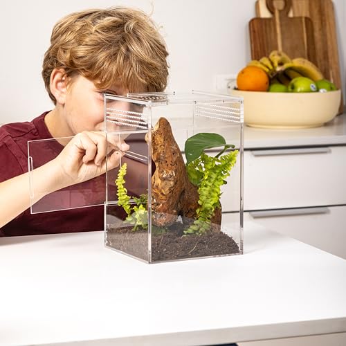EctoTherm Jumping Spider Enclosure - for Habitat, Terrarium Kit and Arboreal Tarantula Enclosure - size: Medium